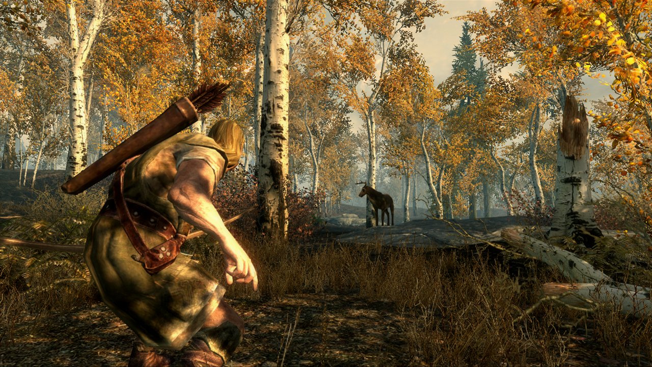 Elder Scrolls V Skyrim PS3 PlayStation 3 DD/MD Complete - Very Good