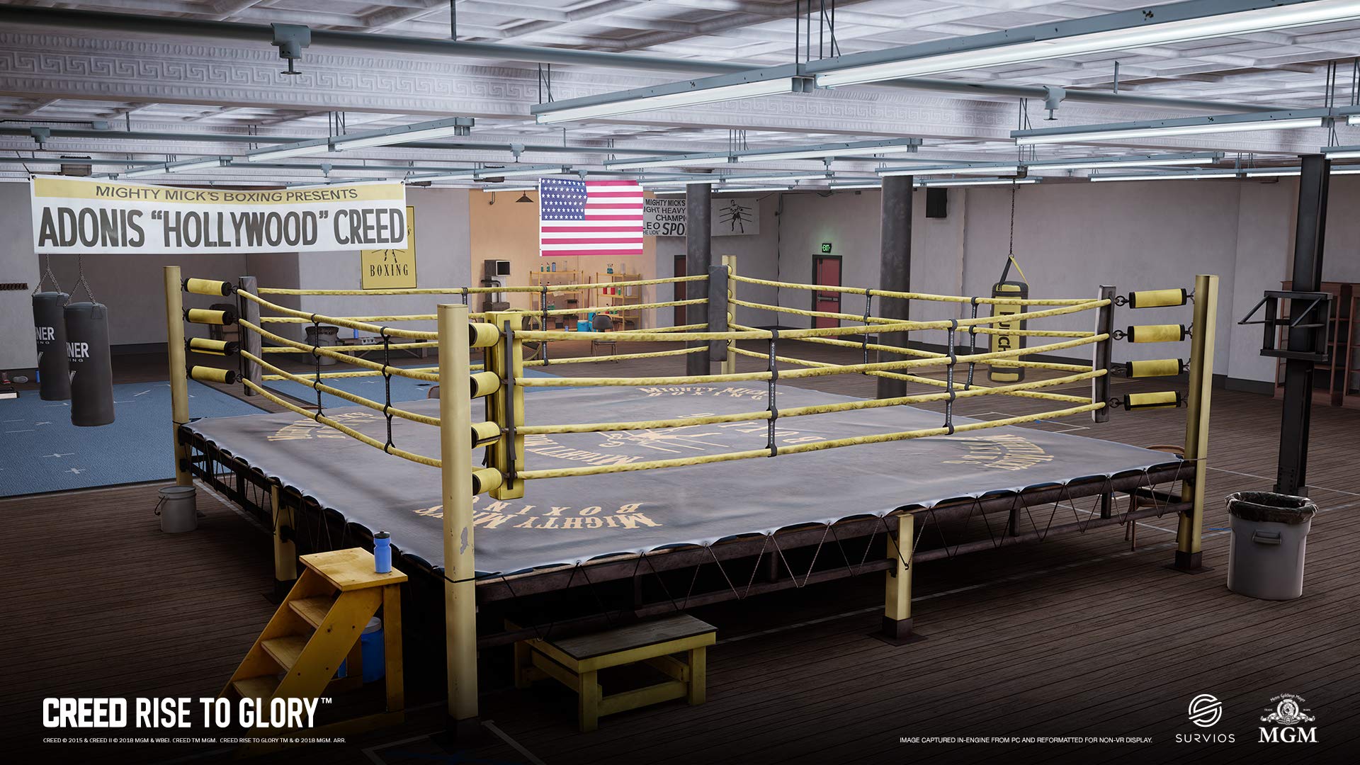 Creed Rise to Glory PSVR PS4 PlayStation 4 Complete - Excellent
