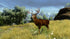 Cabelas Outdoor Adventure 2010 Xbox 360 - Like New
