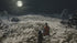 Sekiro Shadows Die Twice PS4 PlayStation 4 AD Complete CIB - Very Good