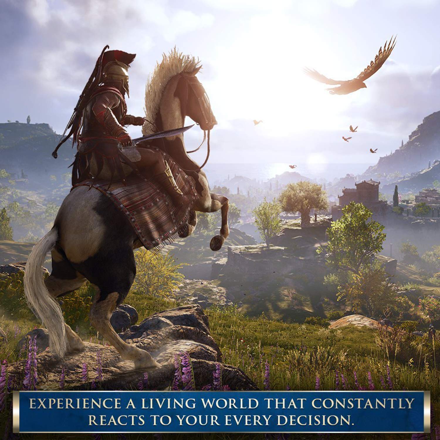 Assassin's Creed Odyssey Xbox One AD Complete CIB - Very Good