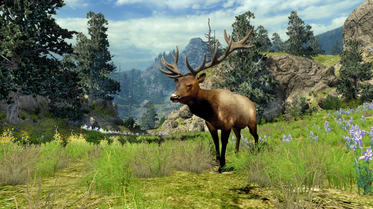 Cabela's Big Game Hunter 2010 Nintendo Wii AD/NM - Very Good