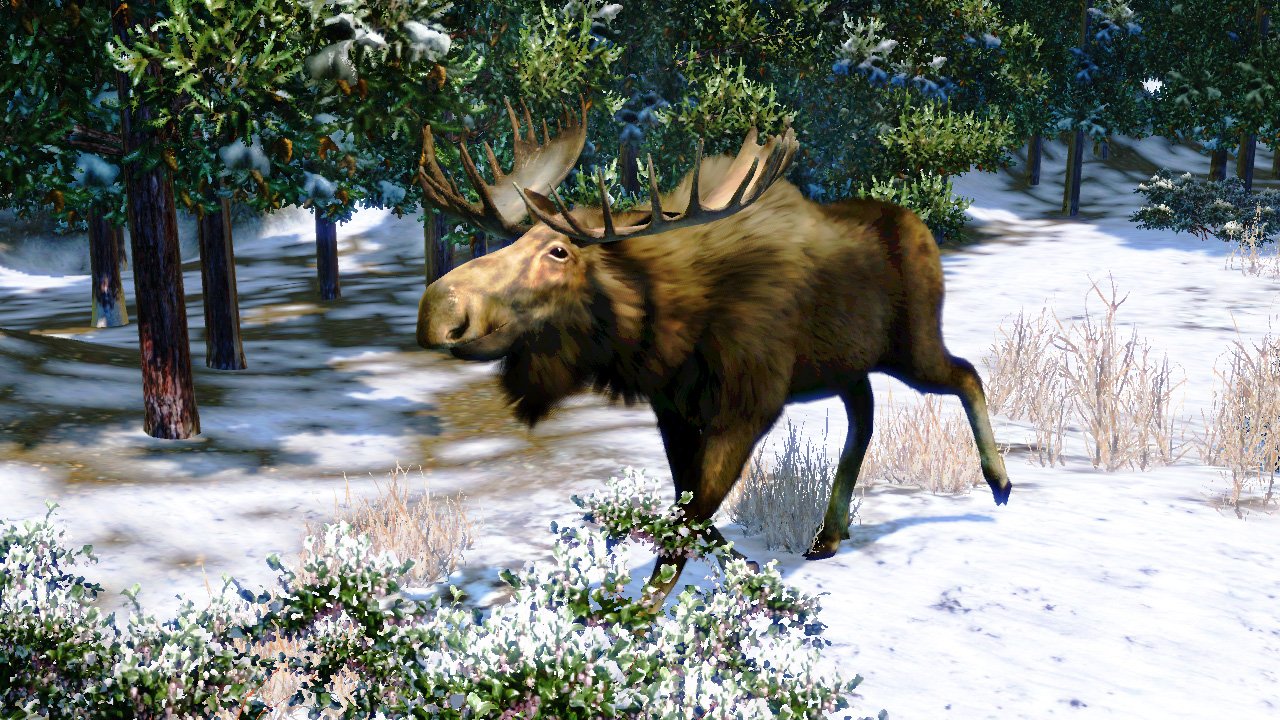 Cabela's North American Adventures Sony PSP Clear UMD - Like New