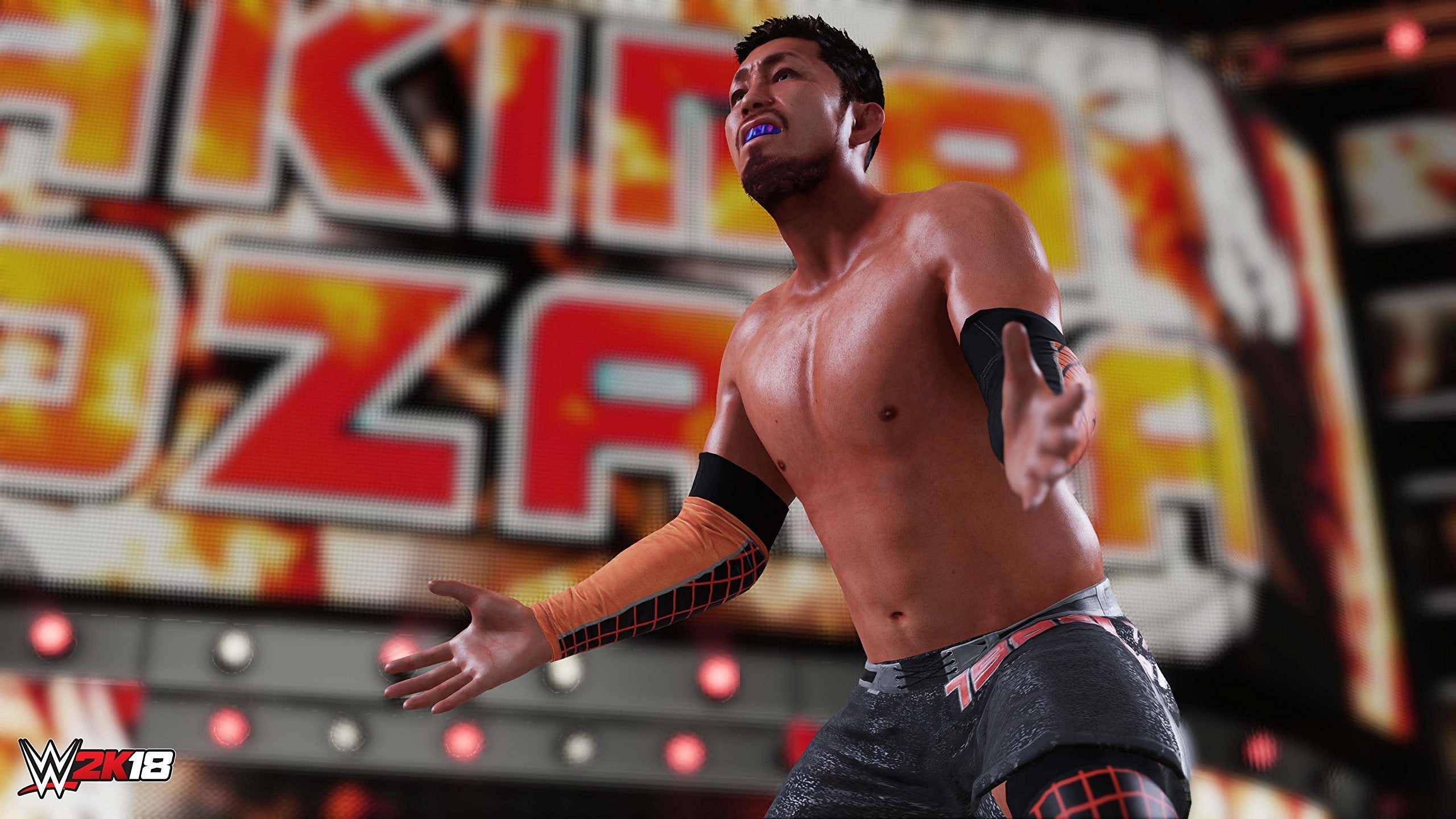 WWE 2K18 PS4 PlayStation 4 - Like New