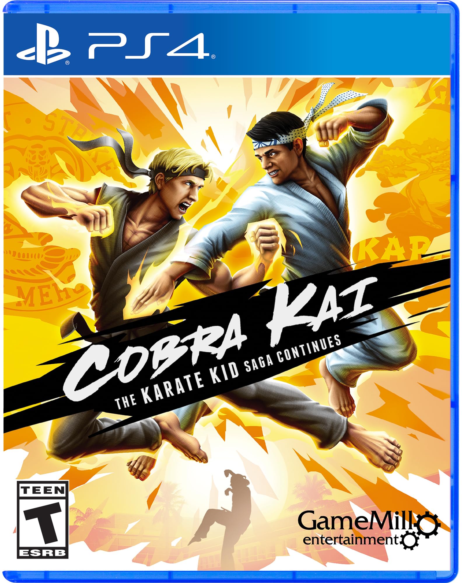 Cobra Kai The Karate Kid Saga Continues PS4 PlayStation 4 - Like New