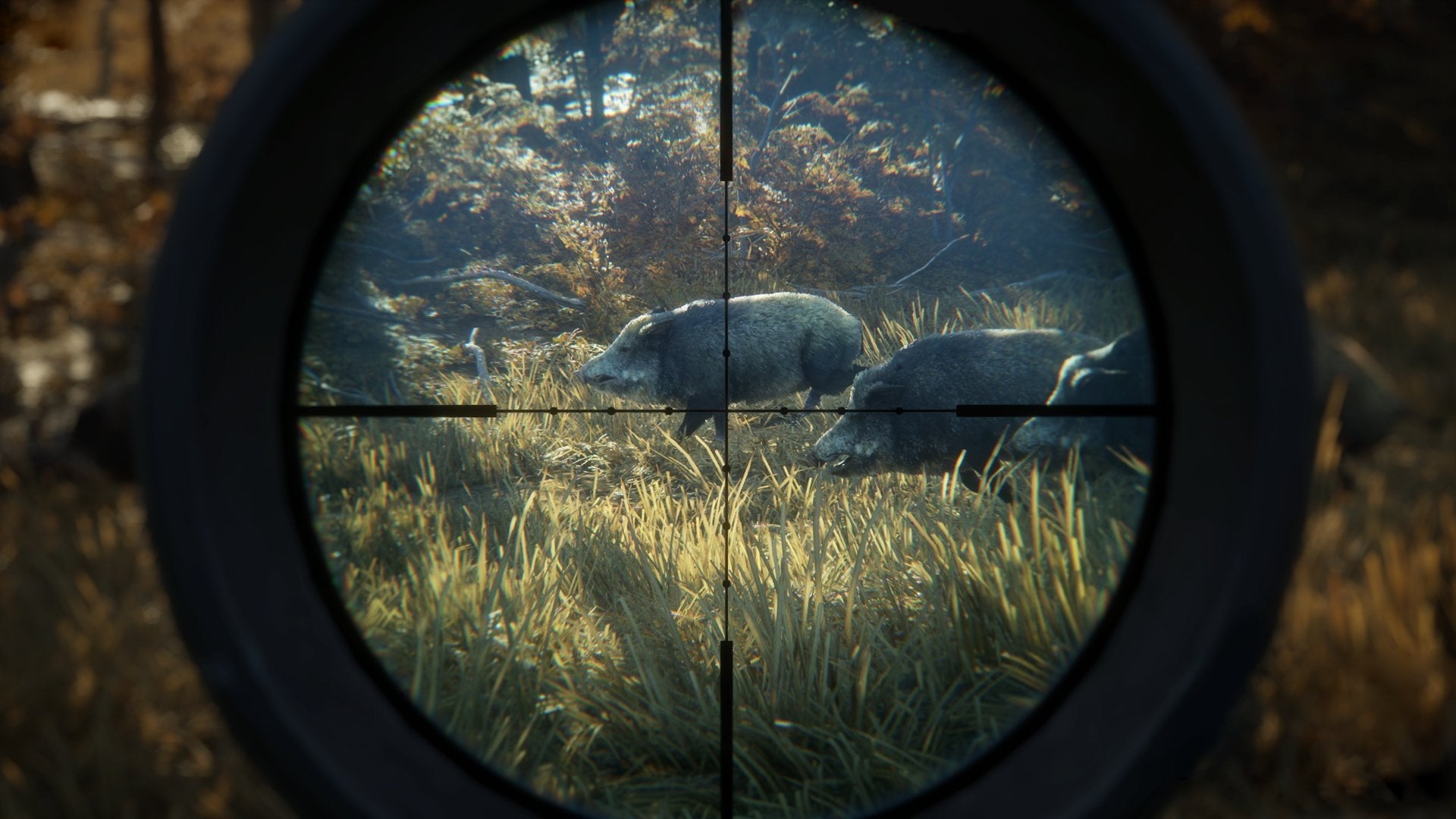 The Hunter Call of the Wild Xbox One AD - Very Good