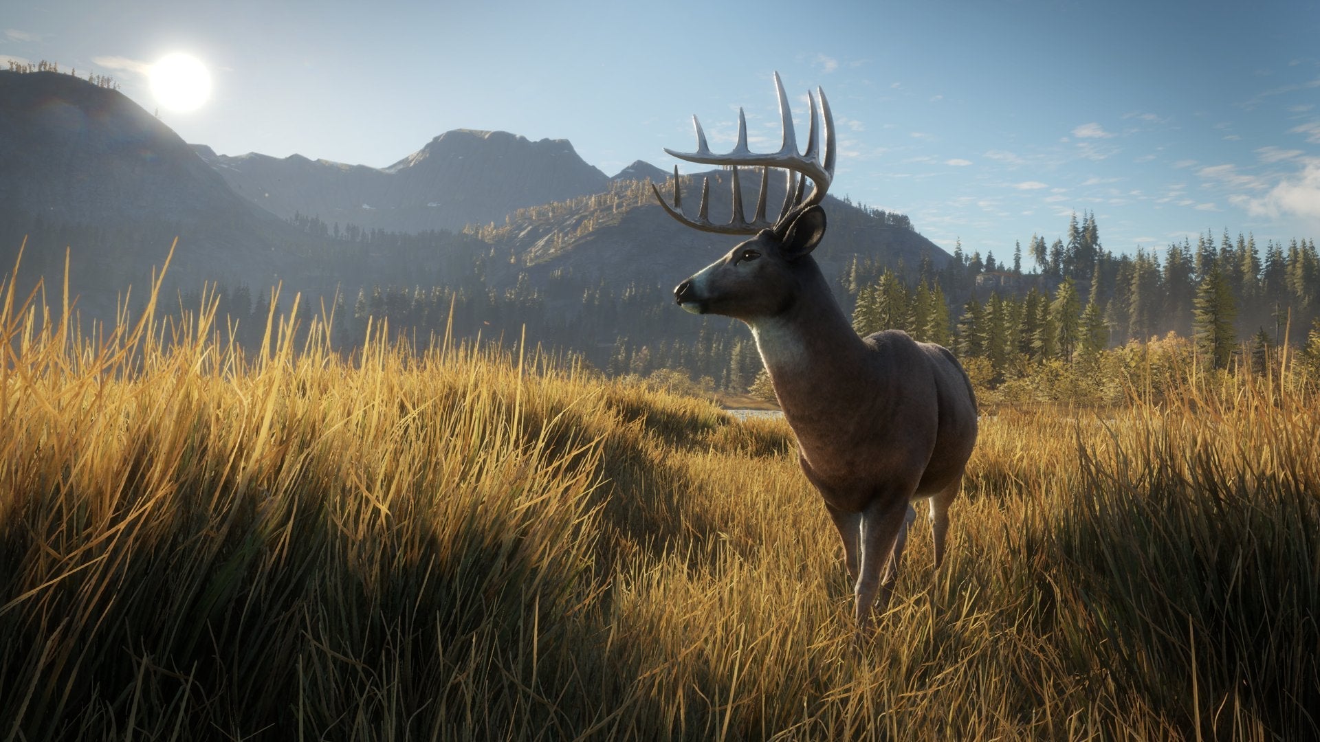 The Hunter Call of the Wild Xbox One AD - Very Good