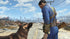 Fallout 4 Xbox One + Poster Complete - Excellent