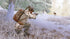 Hunting Simulator Xbox One - Like New