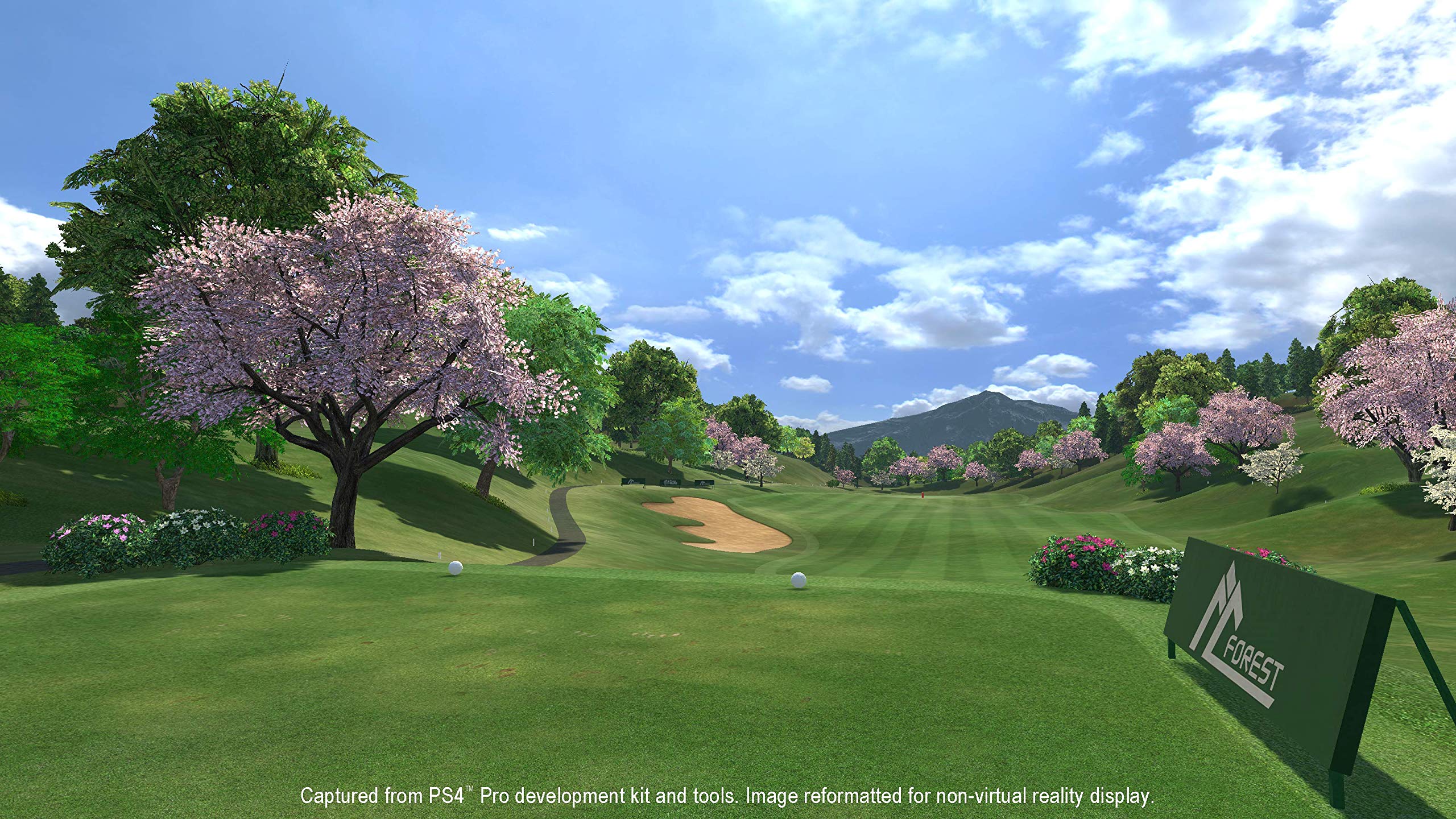 Everybody's Golf VR PS4 PSVR - Like New