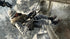 Call of Duty Black Ops PS3 PlayStation 3 Complete - Excellent