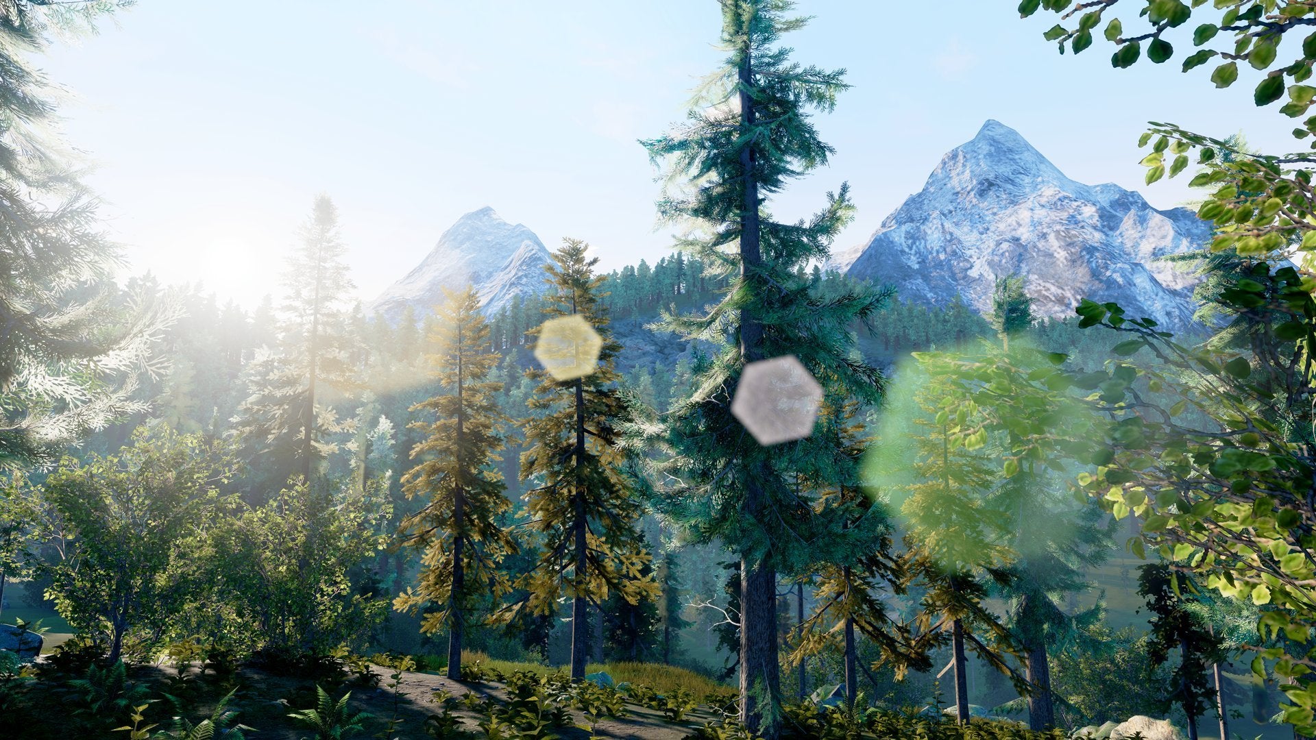 Hunting Simulator Xbox One - Like New