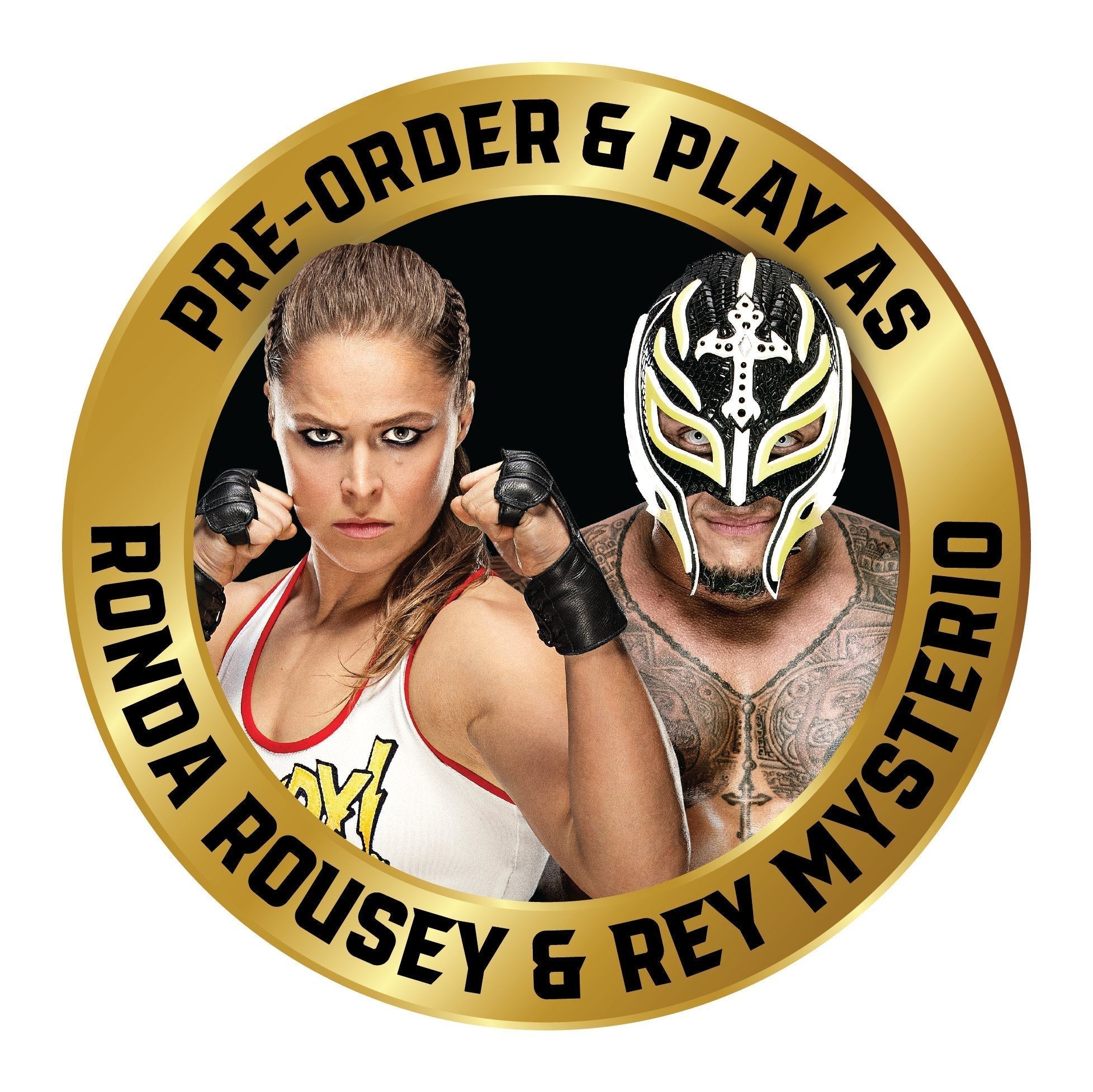 WWE 2K19 PS4 PlayStation 4 - Like New