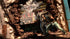 Uncharted 2 Among Thieves GOTY PS3 PlayStation 3 Greatest Hits - Like New