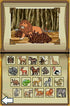 Go Diego Go Safari Rescue Nintendo DS - Like New