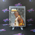 NBA 07 Kobe Bryant PS3 PlayStation 3 - Like New