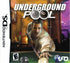 Underground Pool Nintendo DS - Like New