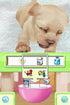 Petz Nursery Nintendo DS - Like New