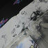 Jimmie Johnson's Anything With An Engine PS3 PlayStation 3 AD Complete CIB - Very Good