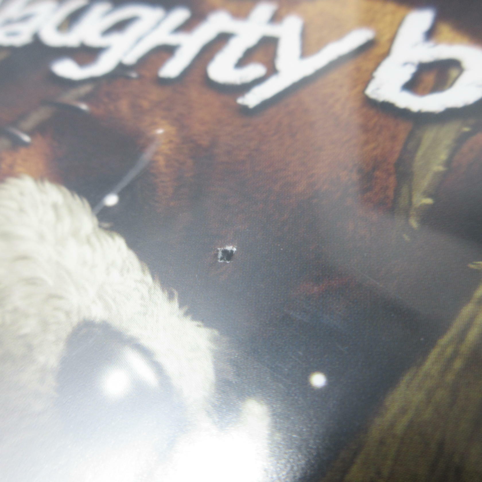 Naughty Bear - Xbox 360 AD Complete CIB - Very Good