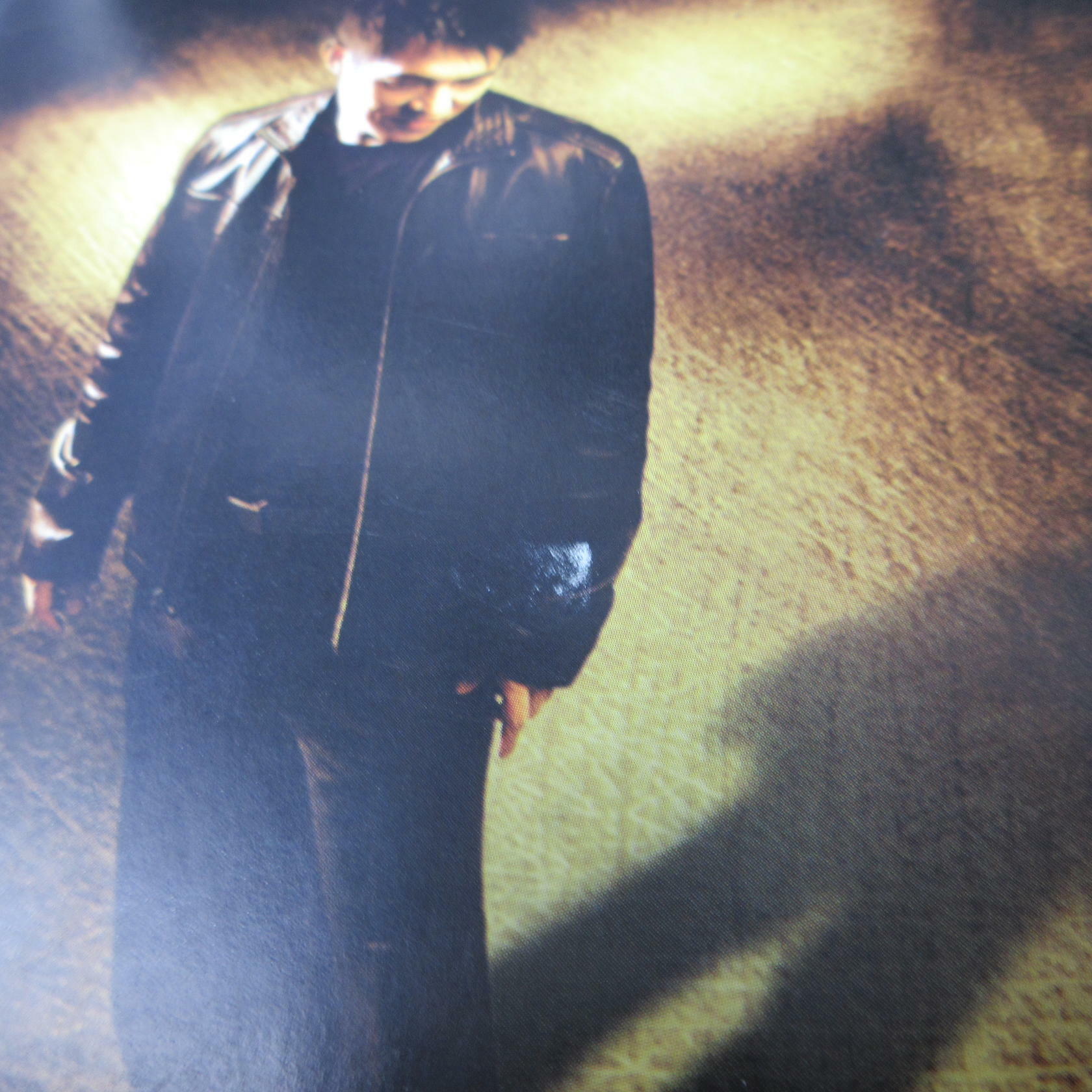 Jet Li Rise To Honor GH PS2 PlayStation 2 AD/MD Complete CIB - Very Good