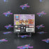 Cheetah Girls Pop Star Sensations Nintendo DS AD Complete CIB - Very Good