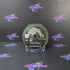 Shadow of the Colossus PS2 PlayStation 2 Black Label Disc Only - Very Good