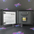 That's So Raven Psychic On The Scene Nintendo DS - Very Good
