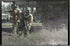 Call of Duty 4 Modern Warfare Xbox 360 PH - Like New