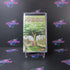 Popolocrois Sony PSP - Like New