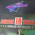 Eighteen Wheeler American Pro-Trucker Nintendo GameCube MD Complete CIB - Very Good