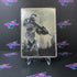 Halo 2 Limited Collector's Edition Xbox CS/DD/NM - Very Good