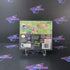 Littlest Pet Shop Jungle Nintendo DS - Like New