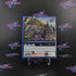 Torment Tides Of Numenera Day One Edition PS4 PlayStation 4 AD + SoundTrack CIB - Very Good