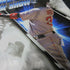 MLB 06 The Show PS2 PlayStation 2 MD Complete CIB - Very Good