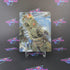 Metro Exodus Aurora Limited Edition PS4 PlayStation 4 + Map - Excellent