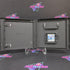 Petz Hamsterz 2 Nintendo DS - Very Good