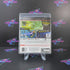 Rayman Legends PS3 PlayStation 3 Complete - Excellent