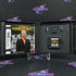 Deal or No Deal Nintendo DS AD/CS Complete - Very Good