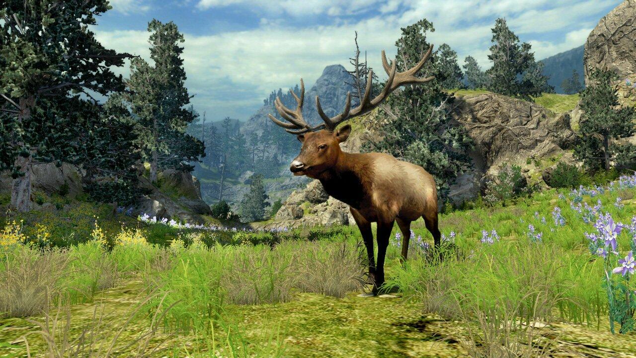 Cabela's Big Game Hunter 2010 Nintendo Wii Complete - Excellent