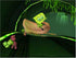 Nicktoons Attack of the Toybots PS2 PlayStation 2 - Like New