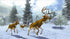 Cabelas Monster Buck Hunter Nintendo Wii - Like New