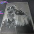 Halo 2 Limited Collector's Edition Xbox AD/MD Complete CIB - Very Good