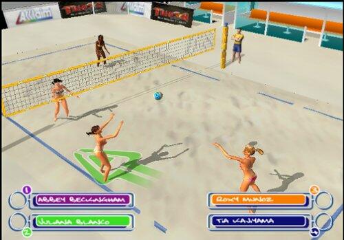 Summer Heat Beach Volleyball PS2 PlayStation 2 + Reg Card - Like New