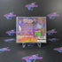 Spyro the Dragon PS1 PlayStation 1 Complete - Very Good