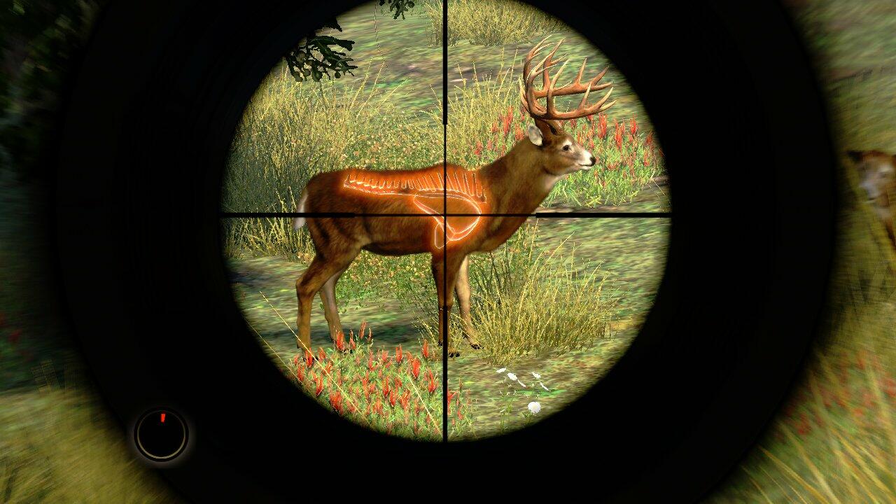 Cabelas Outdoor Adventure 2010 Nintendo Wii Complete - Very Good